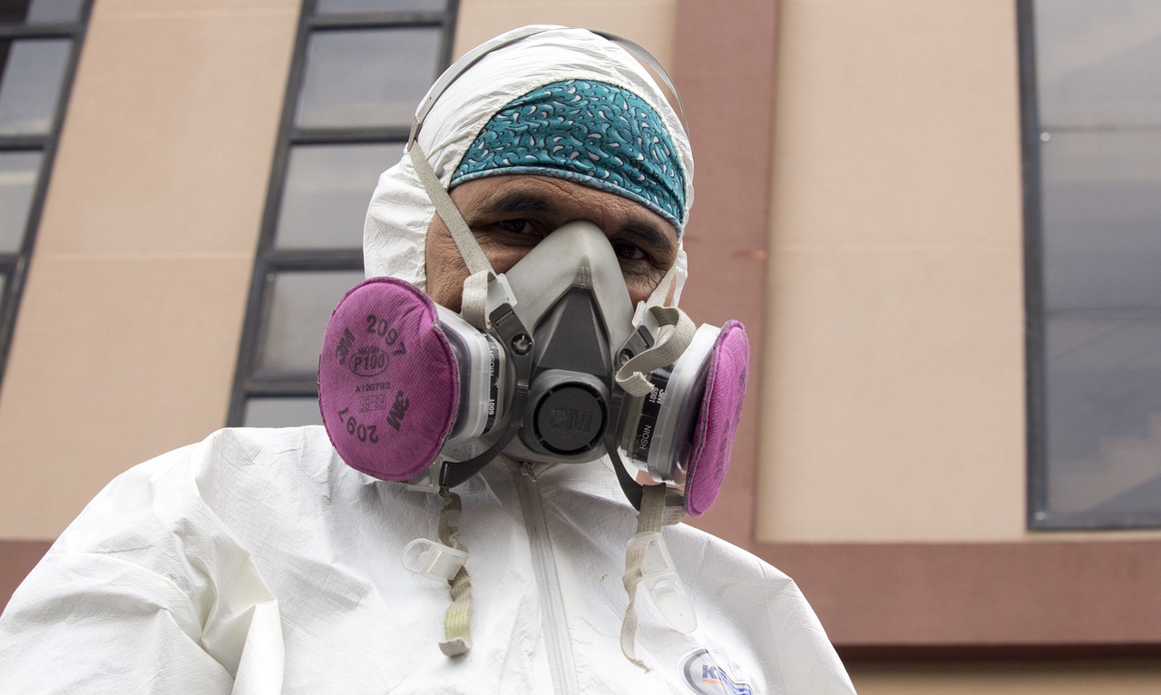 Skuteczna ochrona budynków przed szkodnikami