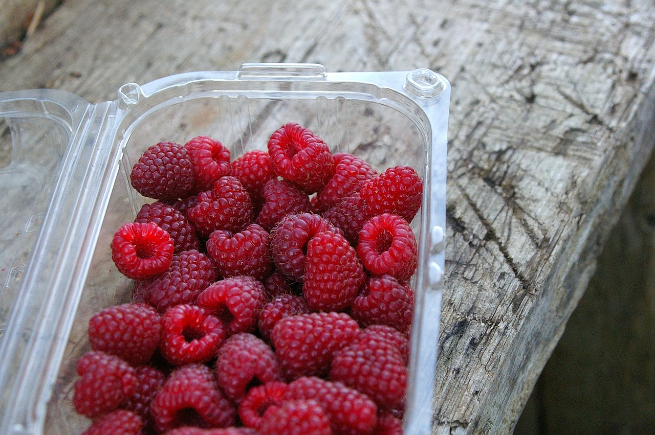 Nowe trendy w produkcji opakowań z tworzyw sztucznych