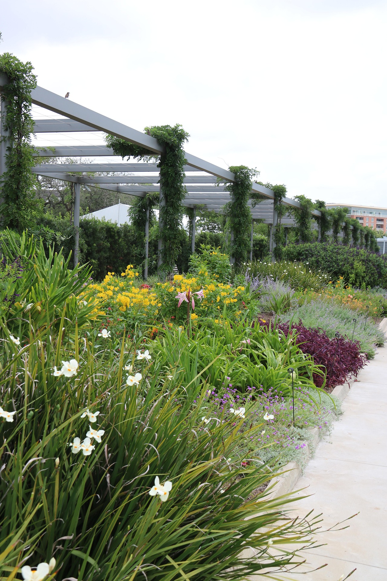 Tworzenie funkcjonalnych przestrzeni zielonych w środowisku miejskim